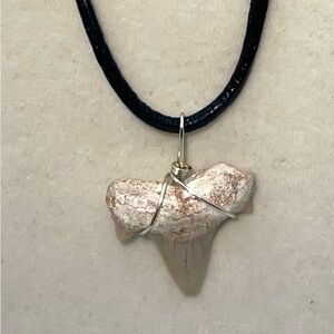 Real‎ Fossilized Shark Tooth Pendant Necklace Leather Cord Jewelry
